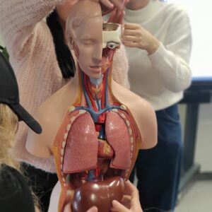 Read more about the article 🩺7.- 9.klašu skolēni iepazīst medicīnas nozari