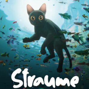 Read more about the article 🌊Filma “Straume”